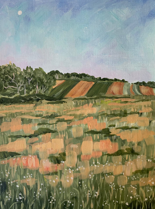 "Kimberly Farm at Sunset" Original Painting