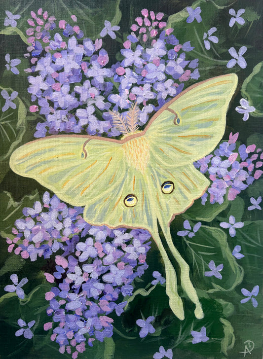 "Luna Moth & Lilac- May Archypes" Original Painting (Copy)